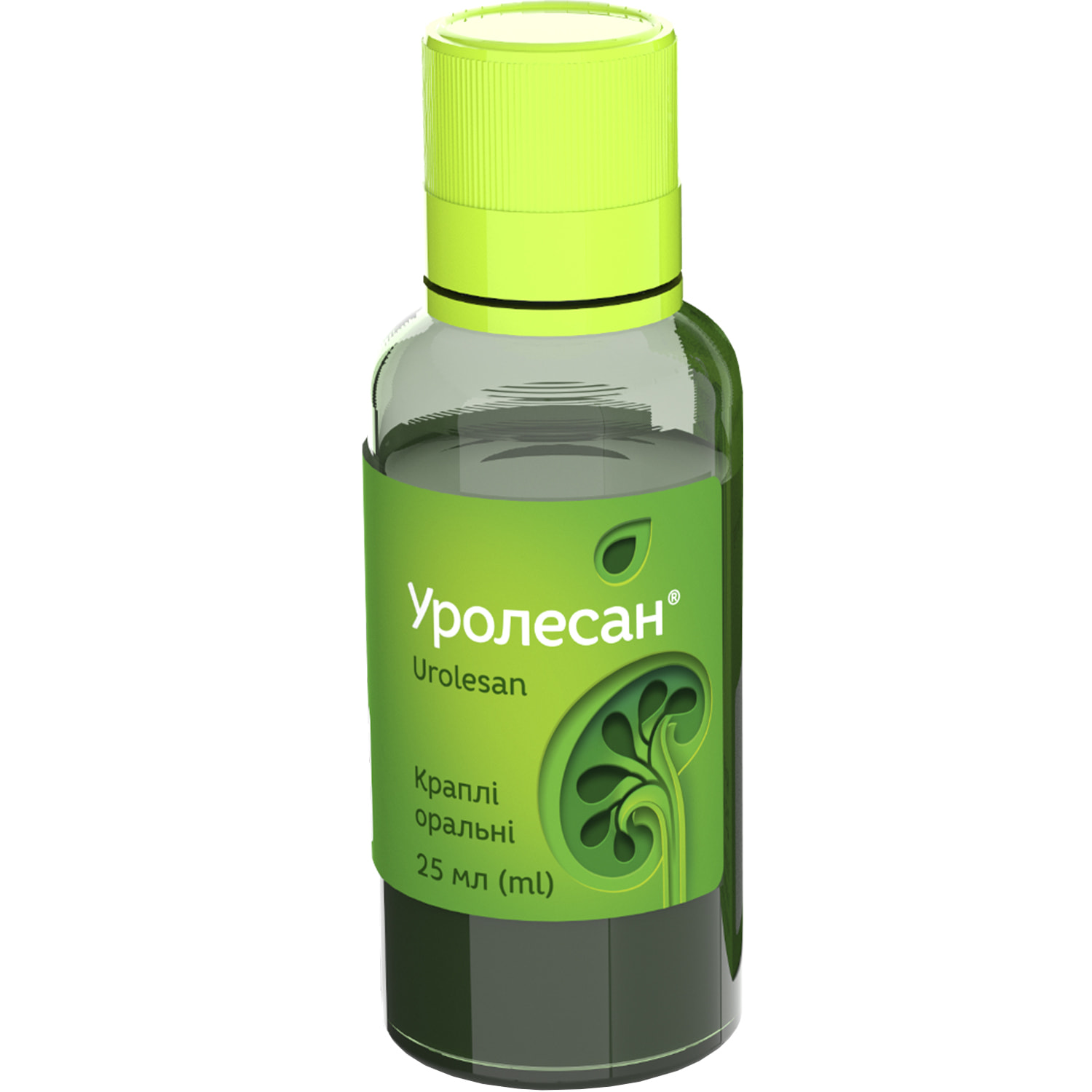 2406-512-big-1500×1500-572d